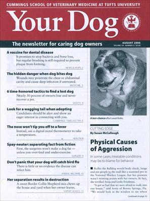 Your Dog